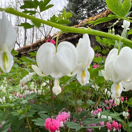 1795 Acorn Inn Bed And Breakfast คานานไดกัว ภายนอก รูปภาพ